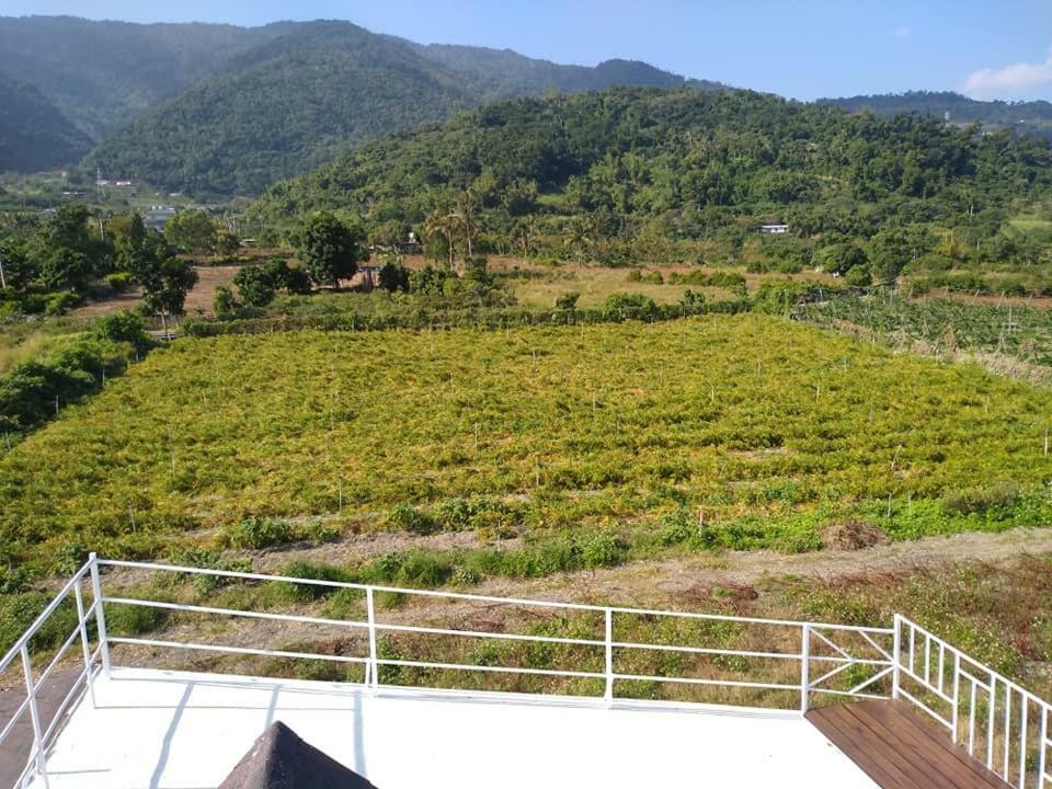 Back To Real Hostel Taitung Exterior photo